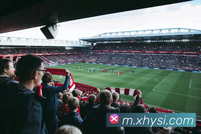 对战数据统计